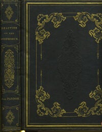 The Beauties of the Bosphorus; by Miss Pardoe; From Drawings by William H. Bartlett.
