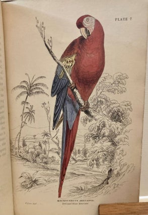Ornithology. Parrots. From the Naturalist's Library, edited by Sir William Jardine.