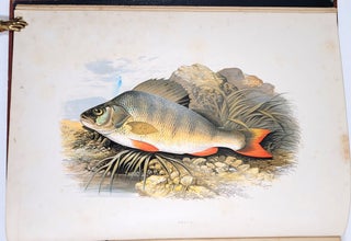 British Fresh-Water Fishes, Volumes I and II.