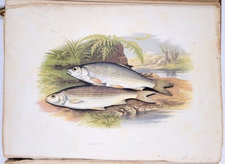 British Fresh-Water Fishes, Volumes I and II.