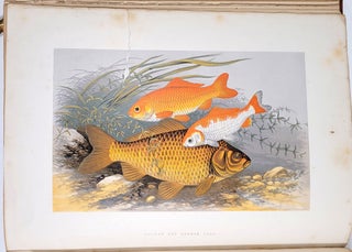 British Fresh-Water Fishes, Volumes I and II.