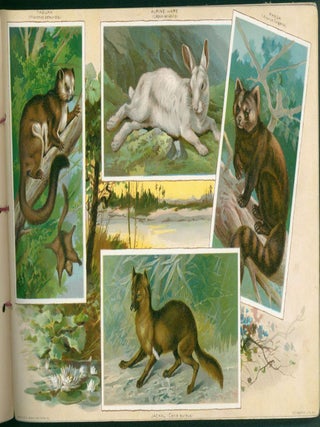 Arbuckles' Album of Illustrated Natural History.