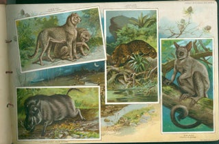 Arbuckles' Album of Illustrated Natural History.