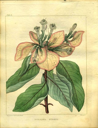 Item #13191 A Flora of North America, Volume I only. 36 Color Plates. William P. C. Barton