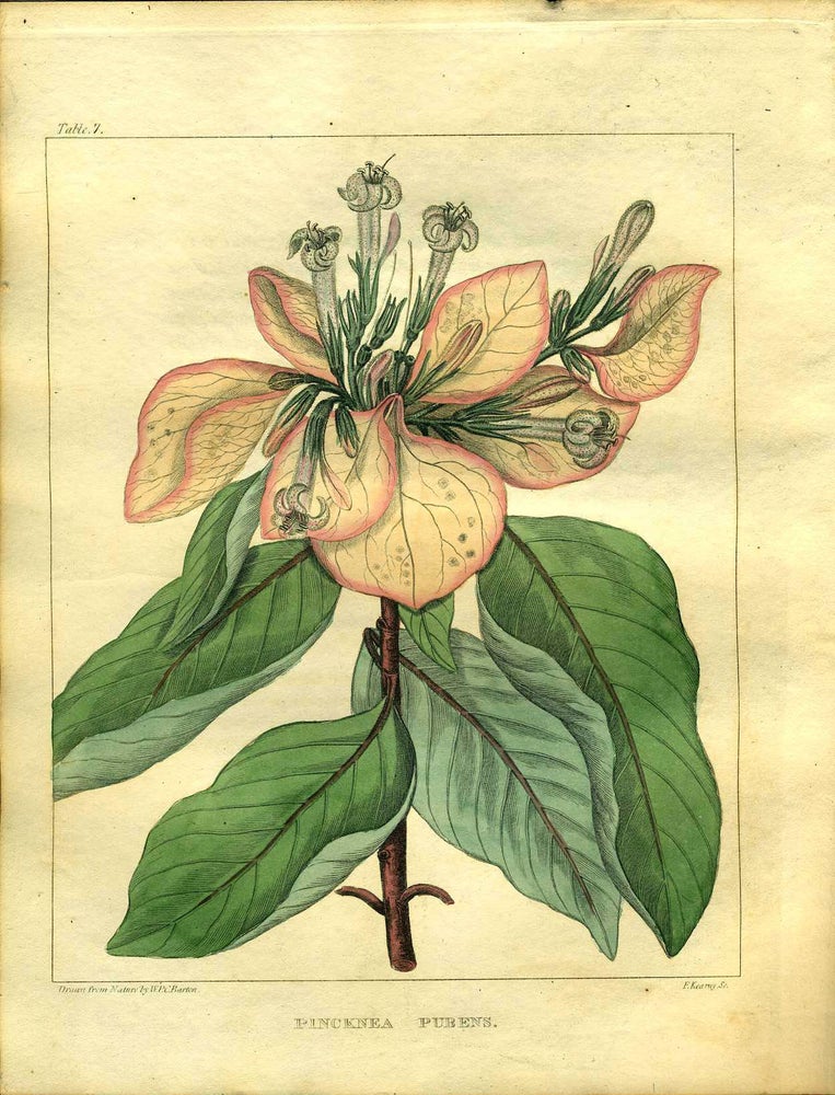 Item #13191 A Flora of North America, Volume I only. 36 Color Plates. William P. C. Barton.