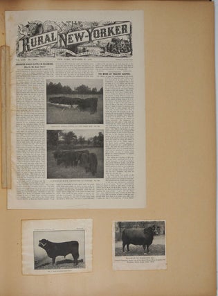 Rufflands Farm, Dutchess County, New York cattle ephemera album.