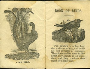 Book about Birds. Chapbook.