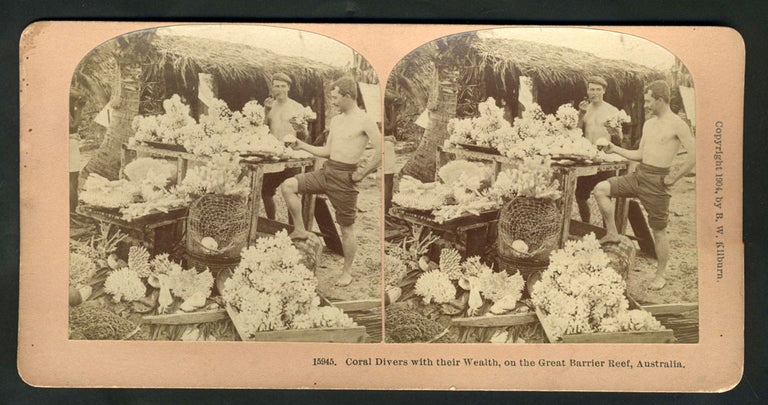 Item #14019 Coral Divers with their Wealth, on the Great Barrier Reef, Australia. Stereoscopic view.