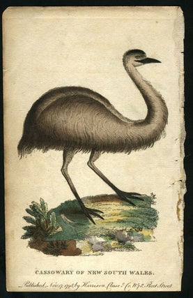 Item #14136 Cassowary of New South Wales. After George Barrington