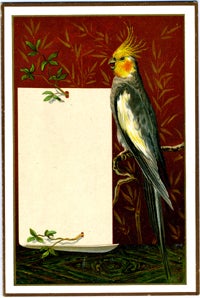 Item #14140 Cockatiel on a branch. Menu card