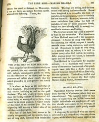 Parley's Magazine for Children and Youth, Part VI, June 1834 - August 1834.
