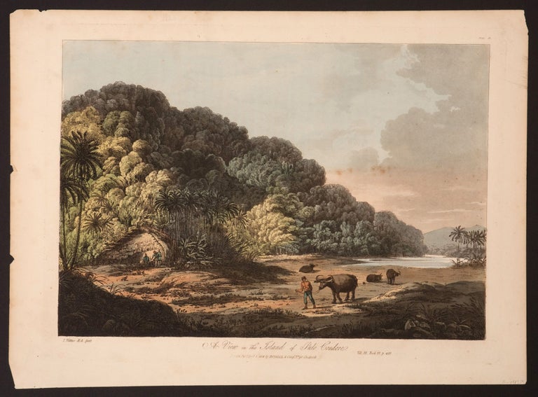 Item #14334 A View in the Island of Pulo Condore. John Webber.