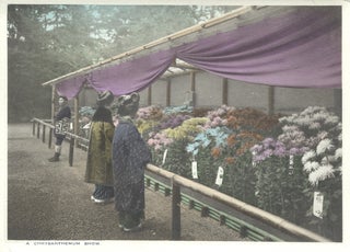 Hand colored Japanese photograph cards, including Tokyo and Kobe.