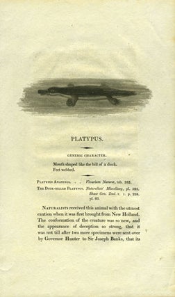 Item #14709 "Platypus", Bewick's Natural History. Platypus