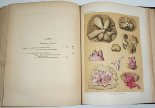 Report on the Scientific Results of the Voyage of HMS Challenger During the Years 1873-76…Zoology Vol. IX. Plates.