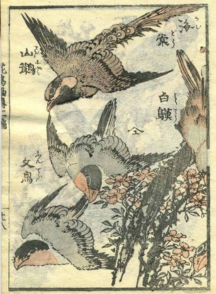 Kwacho Gwaden. Studies of Birds and Flowers.