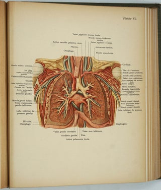 Atlas D'Anatomie Topographique.