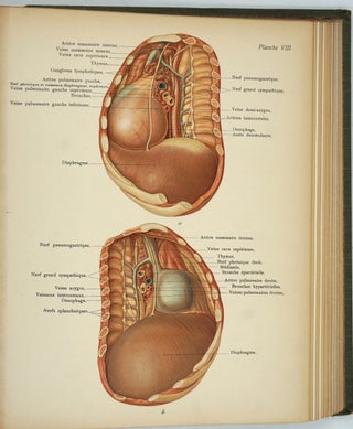 Atlas D'Anatomie Topographique.