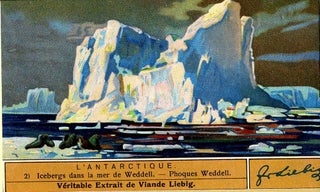 Item #15663 Set of 6 cards entitled "L'Antarctique" Antarctic, Liebig Advertising cards