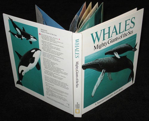 Item #15752 Collection of Original Artwork for Whales, Mighty Giants of the Sea, A National Geographic Action book. Whales, Ned Seidler.
