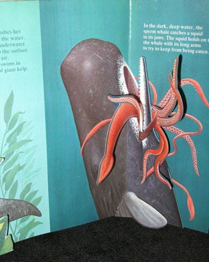 Collection of Original Artwork for Whales, Mighty Giants of the Sea, A National Geographic Action book.