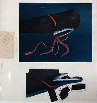 Collection of Original Artwork for Whales, Mighty Giants of the Sea, A National Geographic Action book.