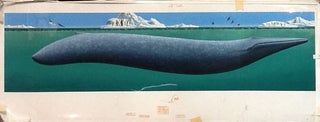 Collection of Original Artwork for Whales, Mighty Giants of the Sea, A National Geographic Action book.
