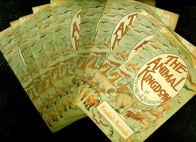 Item #15794 The Animal Kingdom in Pictures and Stories, 10 Volumes. Harold L. Cook.