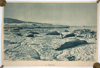 Item #15833 La Banquise. Antarctic, Fernand ed Nathan