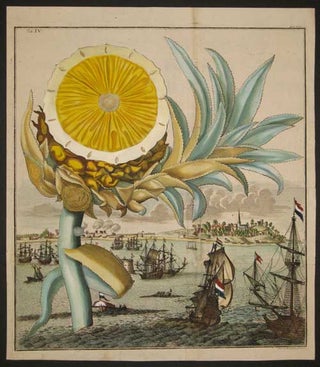 Item #15959 Pineapple, Tab IV from "Nurnberische Hesperides" Johann Volckamer