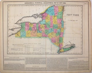 Item #15972 Geographical, Statistical, and Historical Map of New York. New York, Henry Carey,...