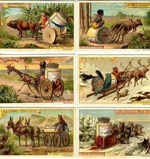 Item #16304 Set of 6 cards, including kangaroo and dingo. Kangaroo, Liebig Advertising cards