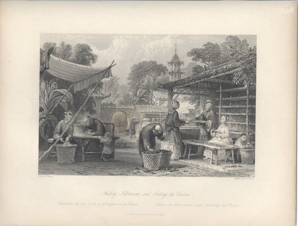 Item #16310 Feeding Silkworms, and Sorting the Cocoons. Silk, Thomas Allom.