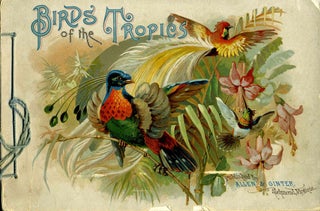Item #16673 Birds of the Tropics. Australia
