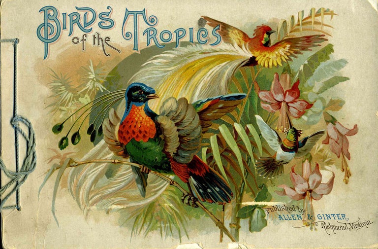 Item #16673 Birds of the Tropics. Australia.
