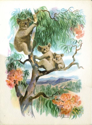 Item #16675 Three Koala bears in a tree, watercolor illustration of menu cover, S. S. Mariposa....