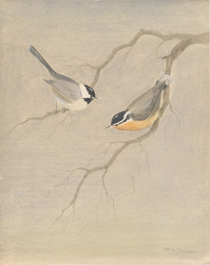 Item #16837 Signed Watercolor of Two Birds on Branches. G. S. Dalen.