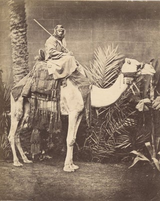 Item #16851 Photograph of Bedouin on Camel, Suez, 1876