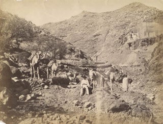 Item #16860 Photograph of Two Men in Foothills with Three Camels and a Horse