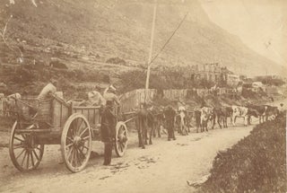 Item #16862 Albumen Photograph of Cart Being Pulled by Oxen near Table Mountain, Capetown....