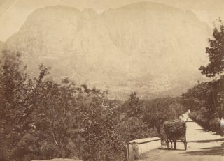 Item #16871 Albumen Photograph of Hay Cart and Horse with Table Mountain, Capetown, South Africa....