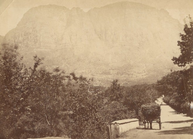 Item #16871 Albumen Photograph of Hay Cart and Horse with Table Mountain, Capetown, South Africa. Photography, South Africa.