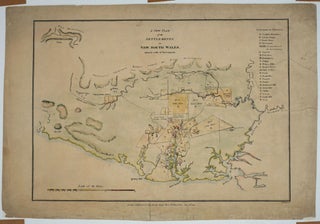 A New Plan of the Settlements in New South Wales, taken by order of Government.
