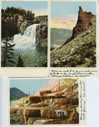 Item #17256 Five Souvenir Postcards from Yellowstone National Park, Wyoming