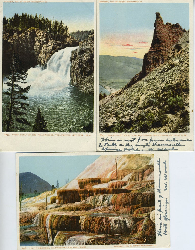 Item #17256 Five Souvenir Postcards from Yellowstone National Park, Wyoming.