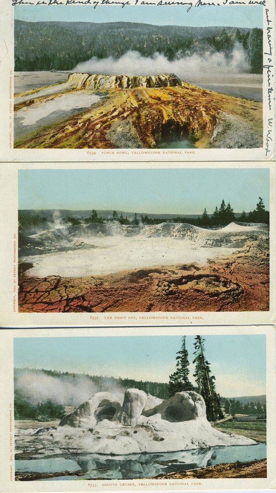 Item #17257 Seven Souvenir Postcards from Yellowstone National Park, Wyoming.