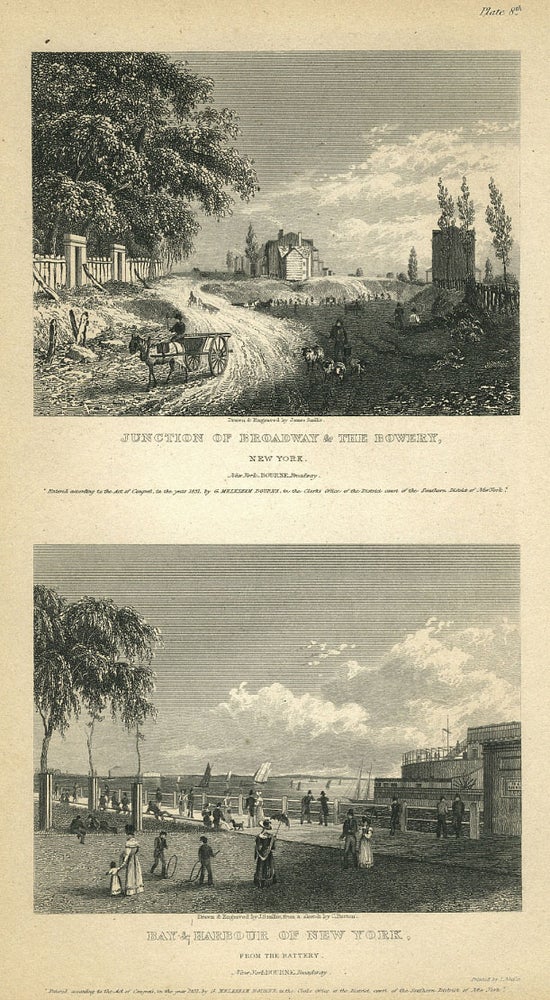Item #17890 New York Views; the first attempt at recording day to day life in New York City. George M. publisher Bourne, Charles Burton, James Smillie, William Guy Wall, after.