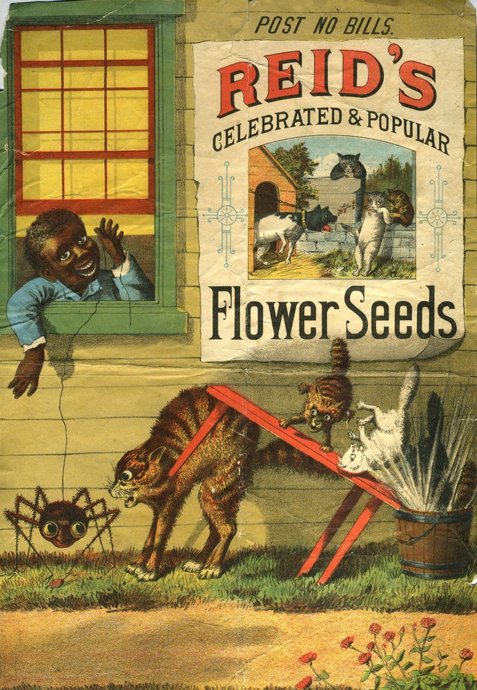 Item #18104 Reid's Celebrated & Popular Flower Seeds. Black Interest, Dogs Cats, Spider.