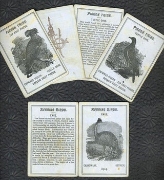 Item #18687 Card Game of Wild Birds with Australian birds. Children's, Australian Birds