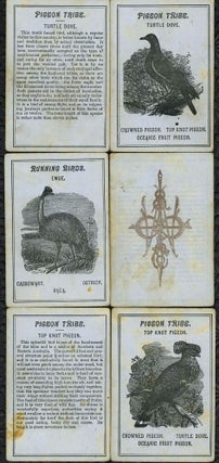 Card Game of Wild Birds with Australian birds.